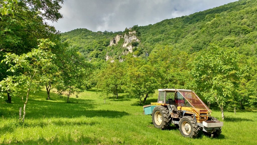 The chateau at Rochechinard