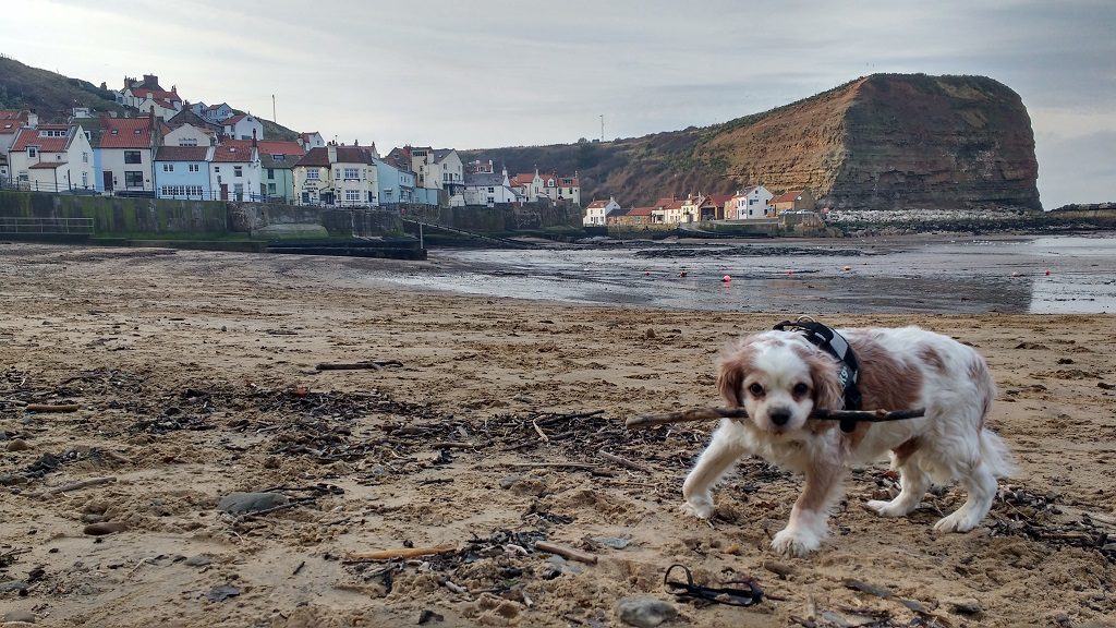 Staithes, Feb 2018