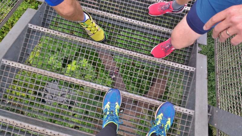 The Eden Project, Cornwall