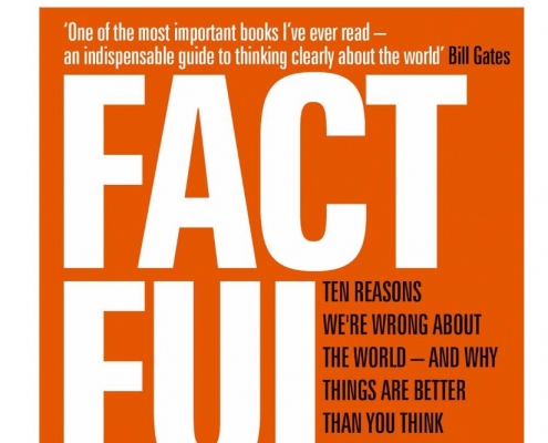 FACTFULNESS Review Travel Blog