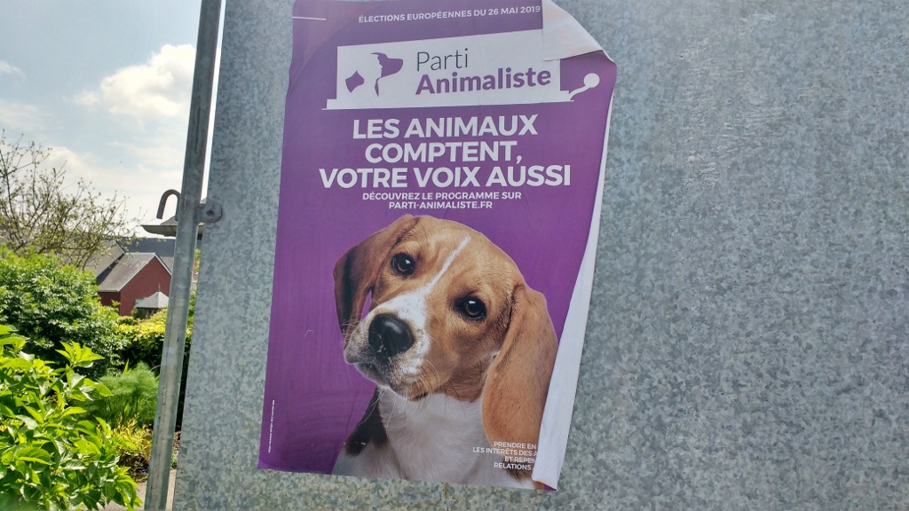 European Election Poster France