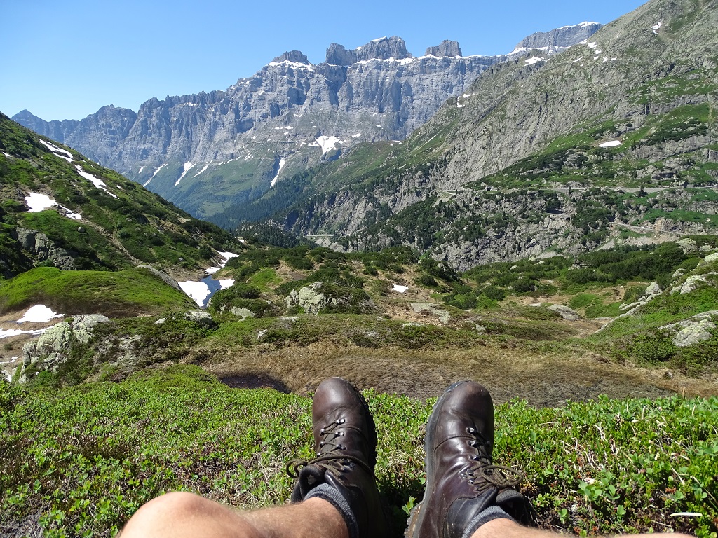 View from the Seebodensee Hike