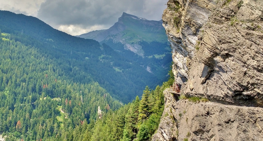 Torrent Neuf Switzerland