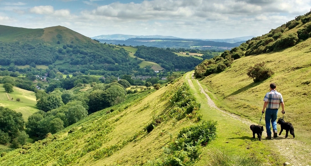 Walking on Long Mynd