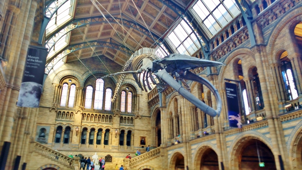 natural history museum london