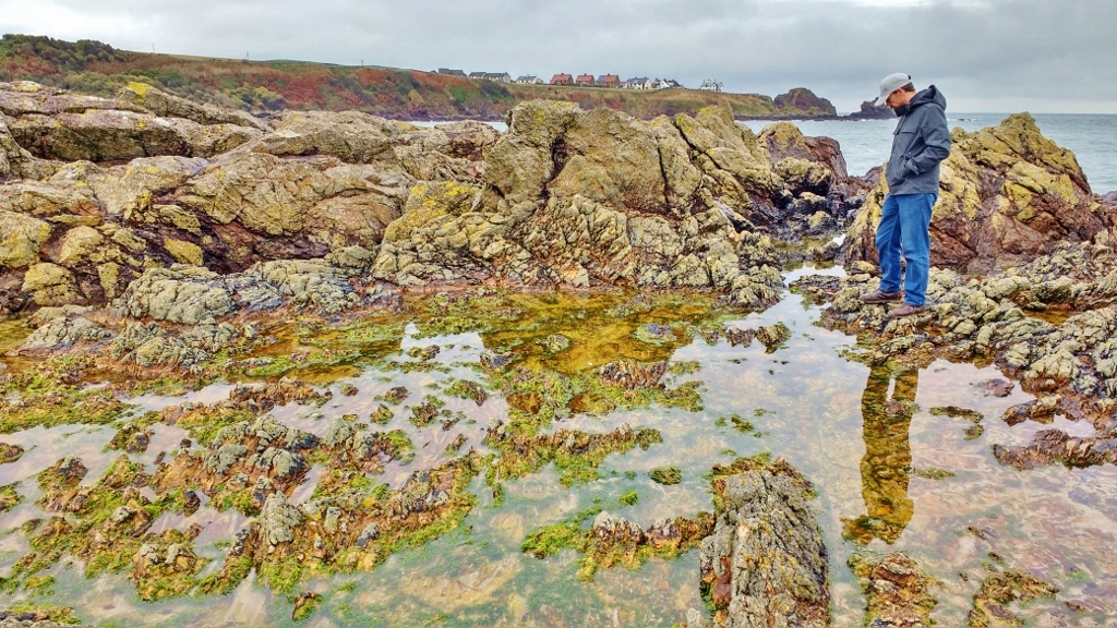 Rock Pooling