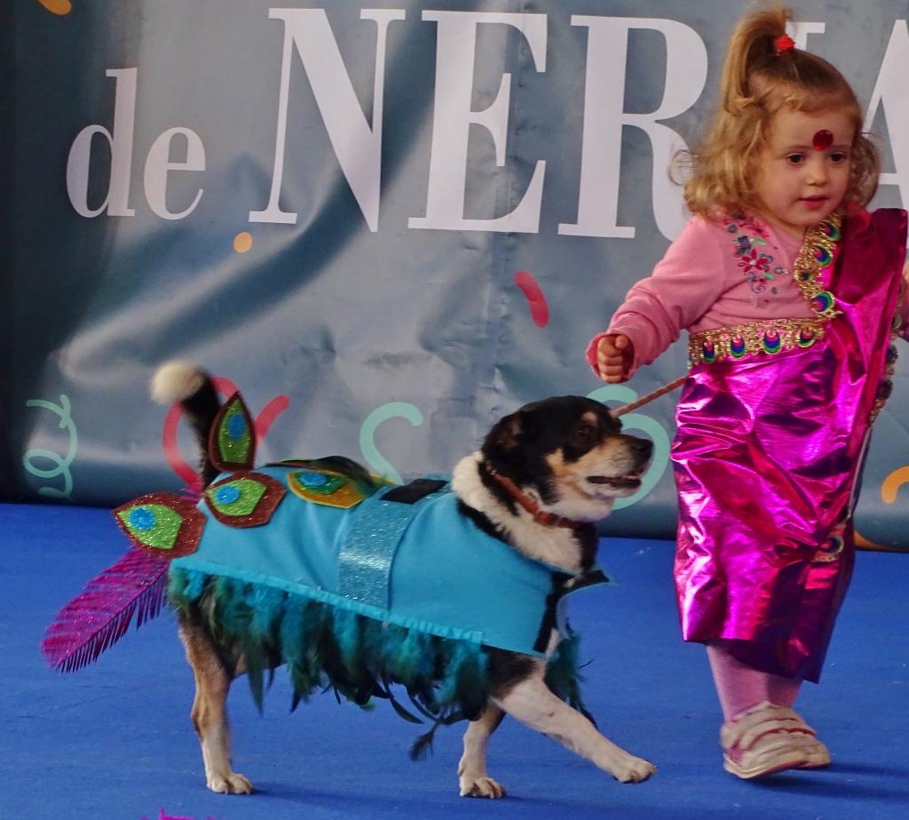 Nerja Carnaval 2020