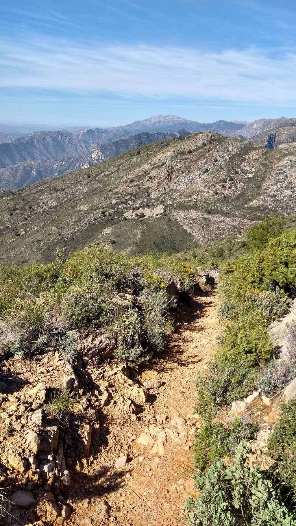 The trail to El Cielo