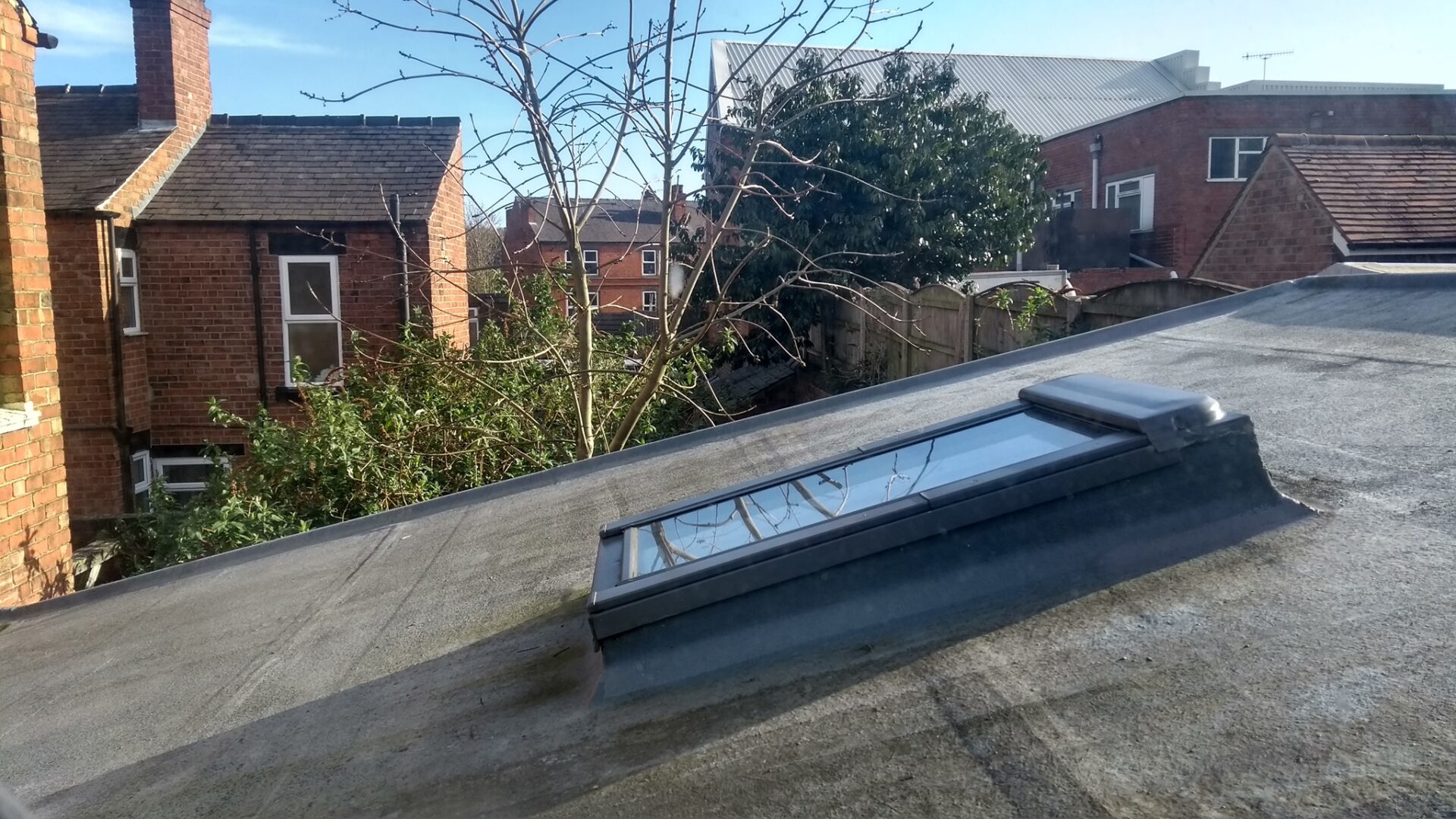 the view from our window during covid-19 self isolation