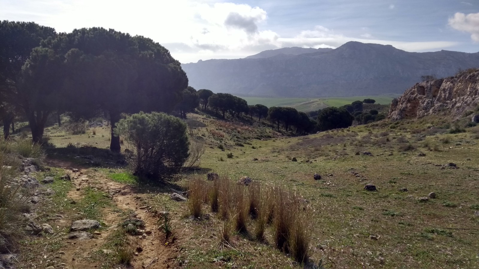 Trails in the hills just to the south of Antequera