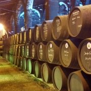 Fundador Bodega Jerez Spain