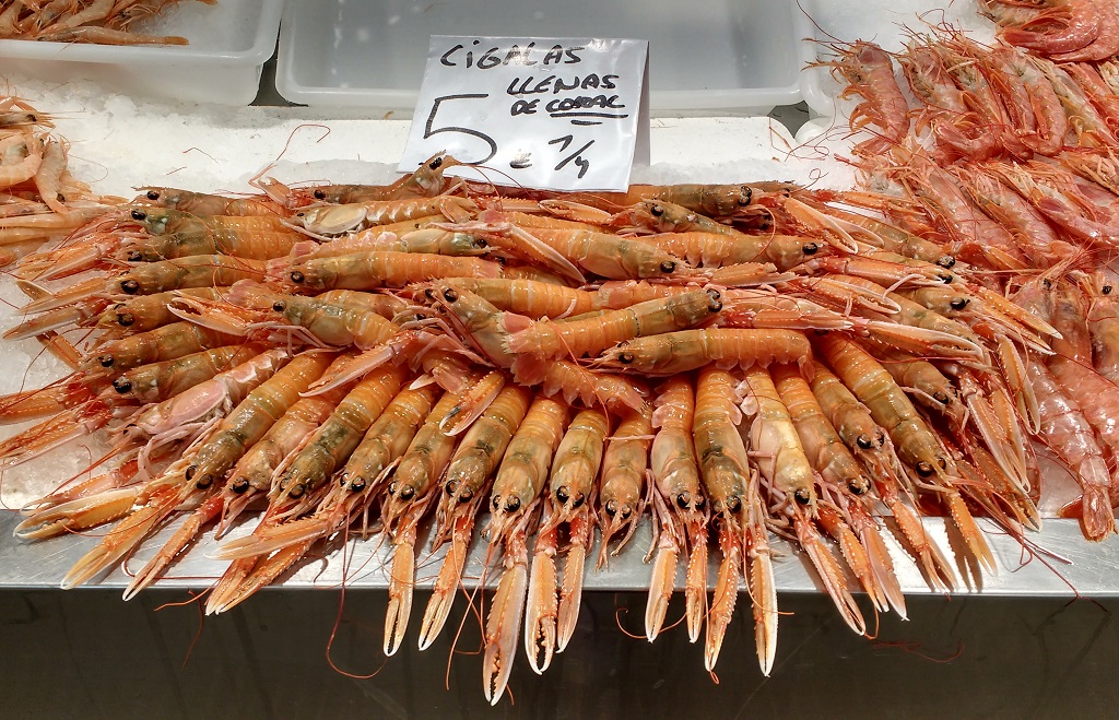 Langoustine Cadiz central market