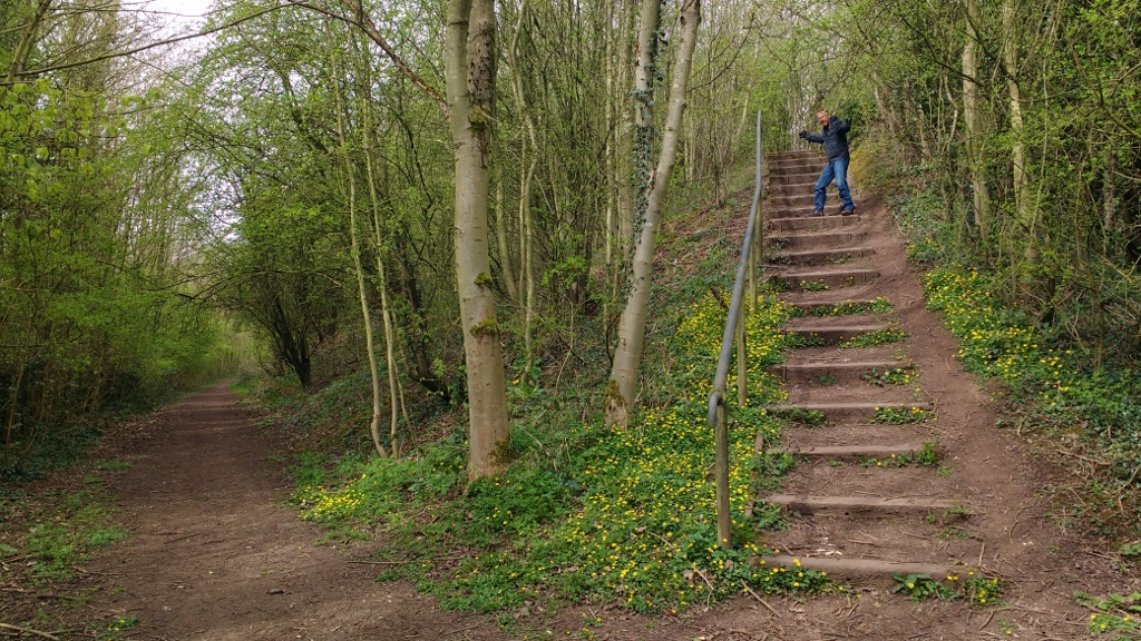 covid-19 lock down 1 a day walk