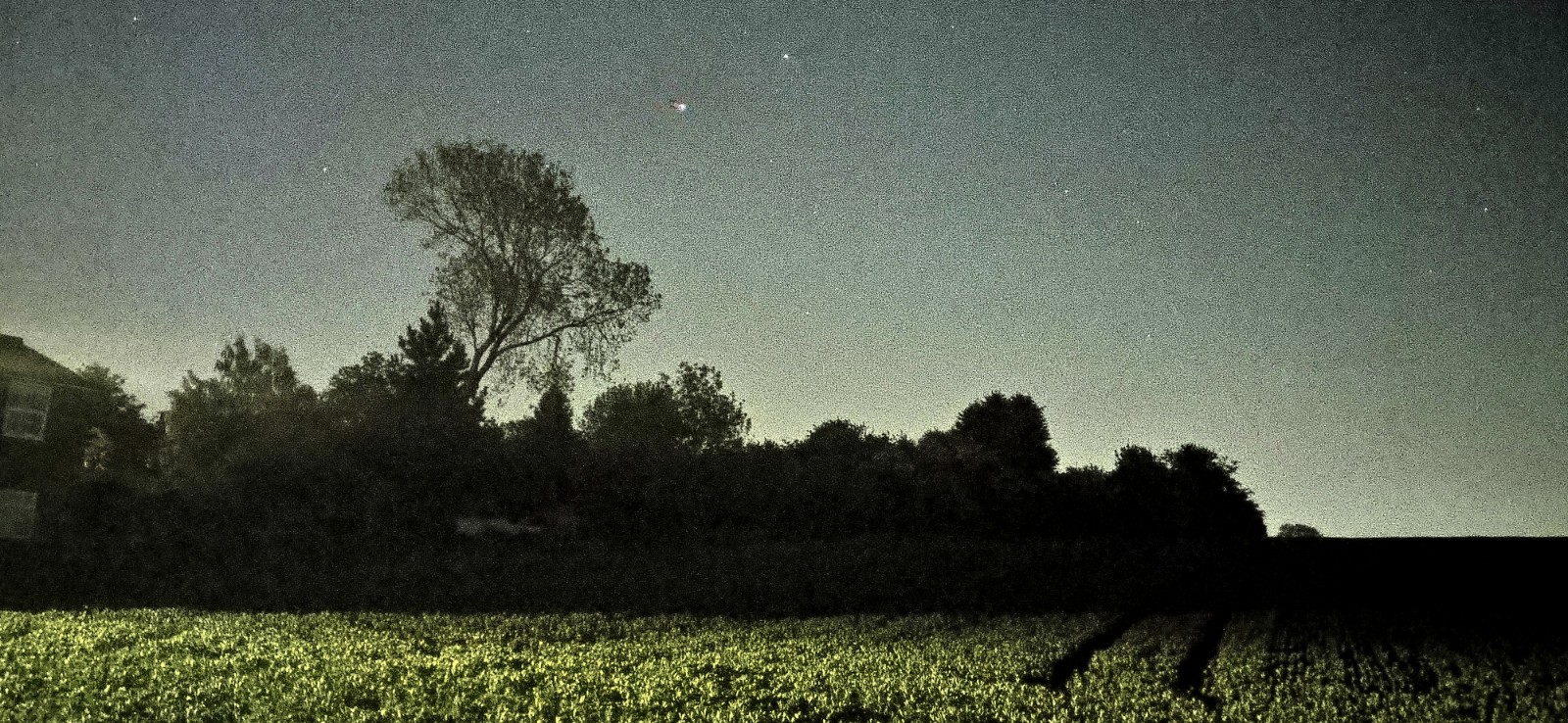 The bright light above the trees is the International Space Station smoothly flying overhead