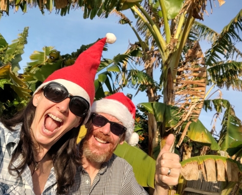 Christmas Banana Trees