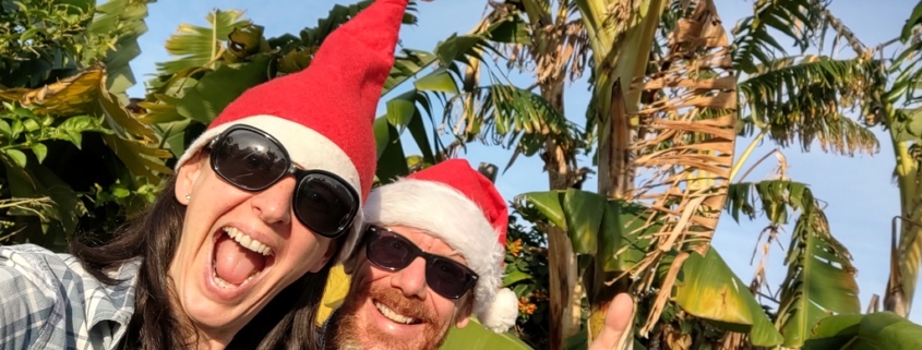 Christmas Banana Trees