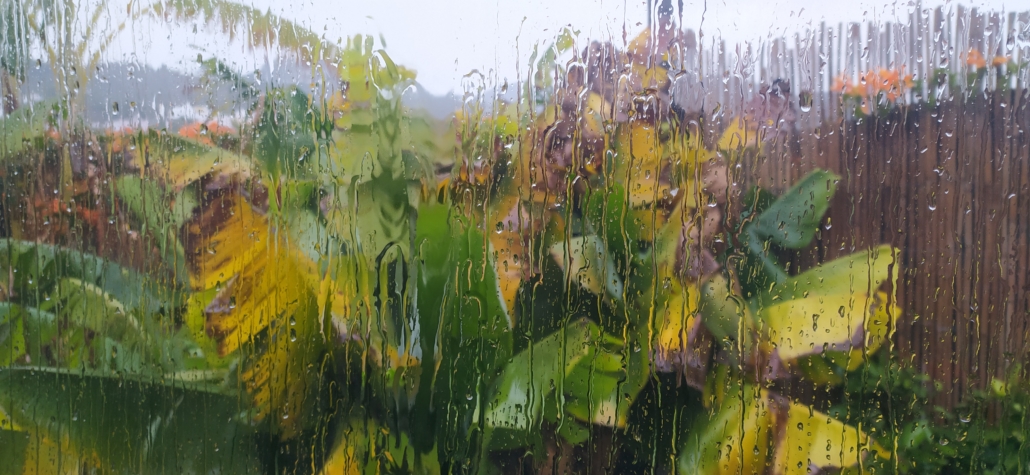 Rain on a motorhome window with a banana plant in Nerja Costa del Sol Spain