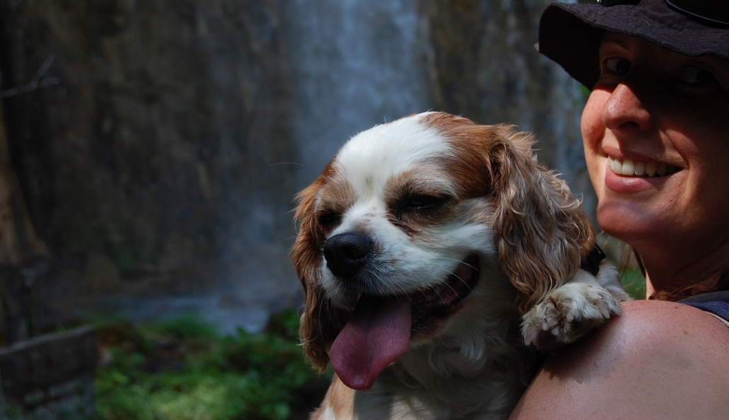 Our dog at the Plitvice Lakes national park in Croatia.
