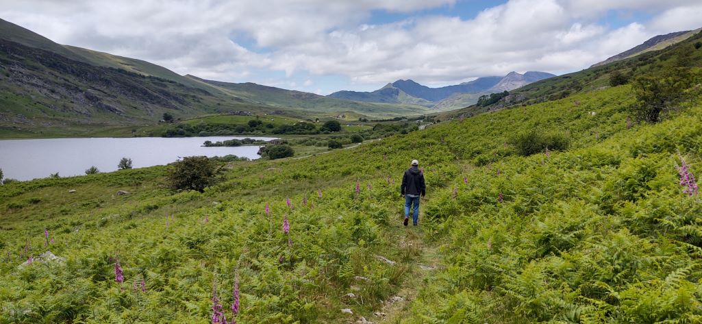 walking to motorhome at garth farm capel curig wales