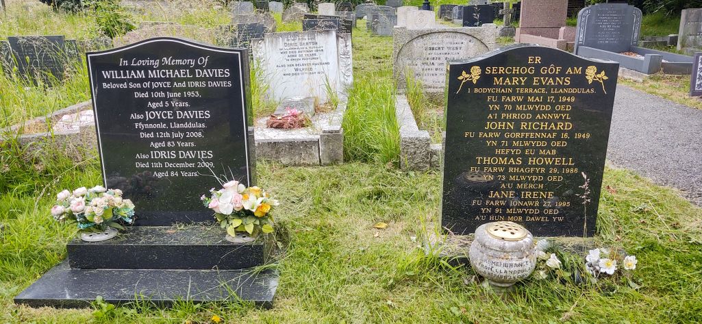 graves welsh and english language