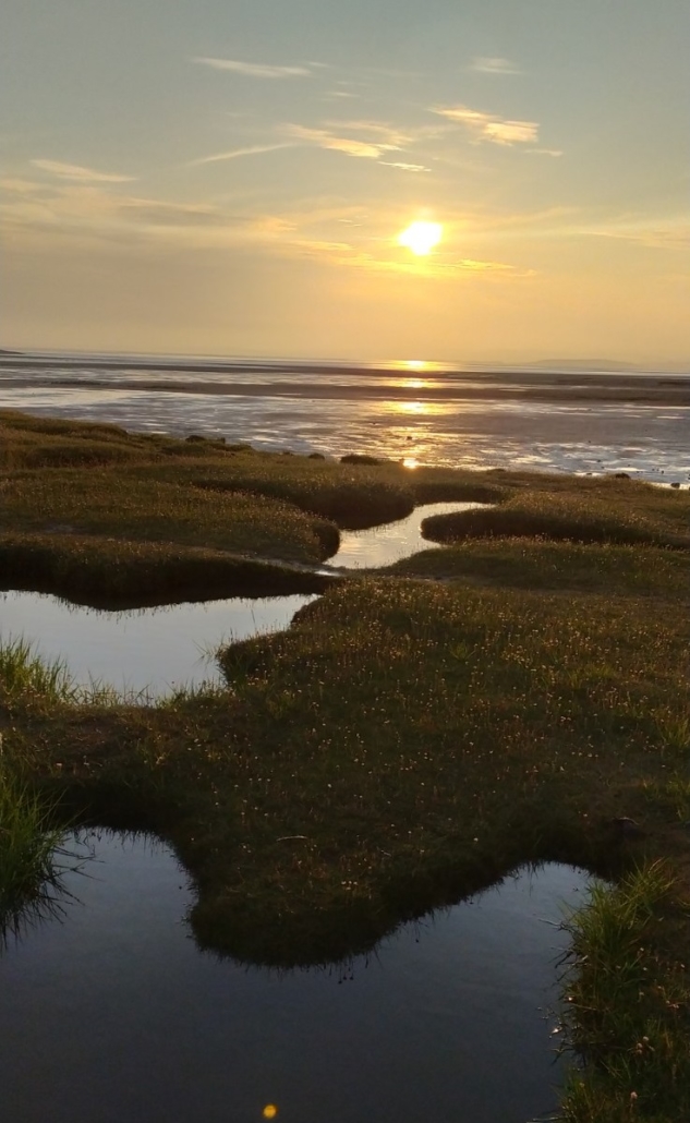 Sunset over salt marsh at Morecambe Bay