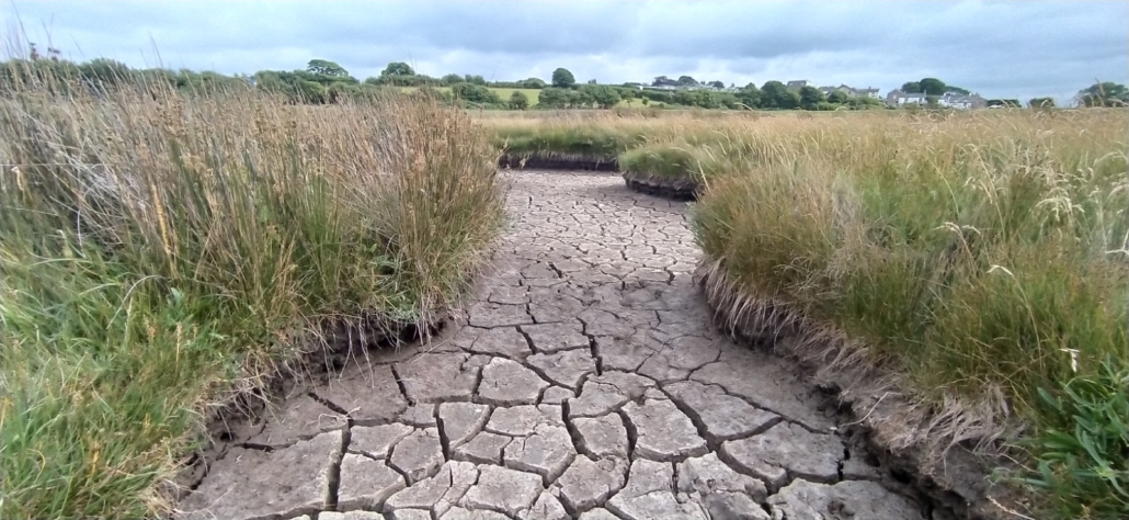 Bone-dry salt marsh near Bolton-le-Sands at Morecambe Bay