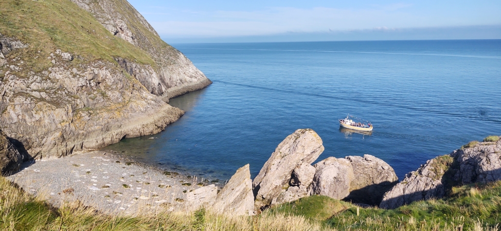 Seals at Angel Bay, the Little Orme near Llandudno
