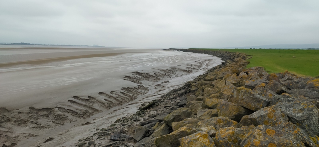 Looking down the Severn towards the bridges
