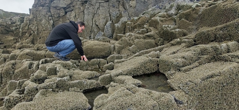 rockpooling on Oxwich Beach