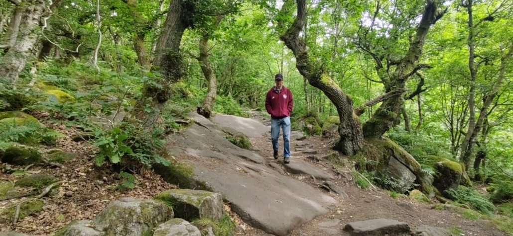 Walking Padley Gorge in the Longshaw Estate