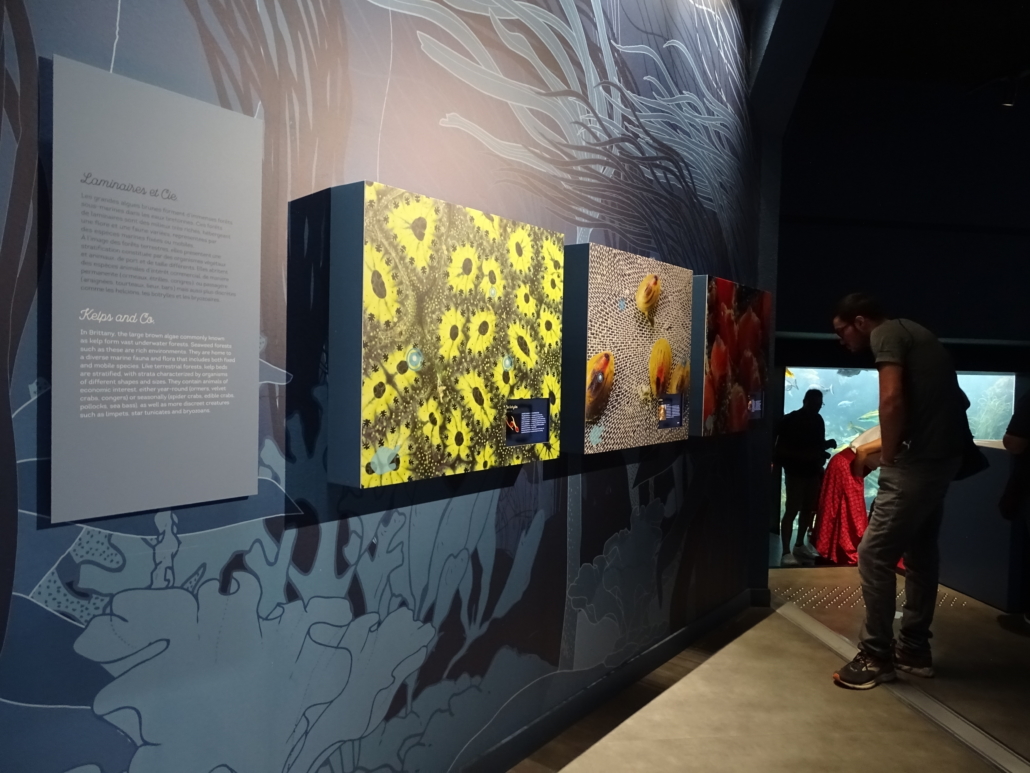 Information in English at the start of the Océanopolis tour