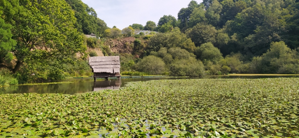  Jardin du Conservatoire Botanique National de Brest