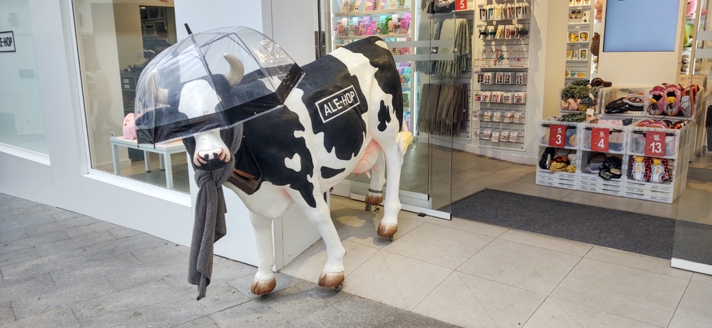 AleHop Cow in Nerja