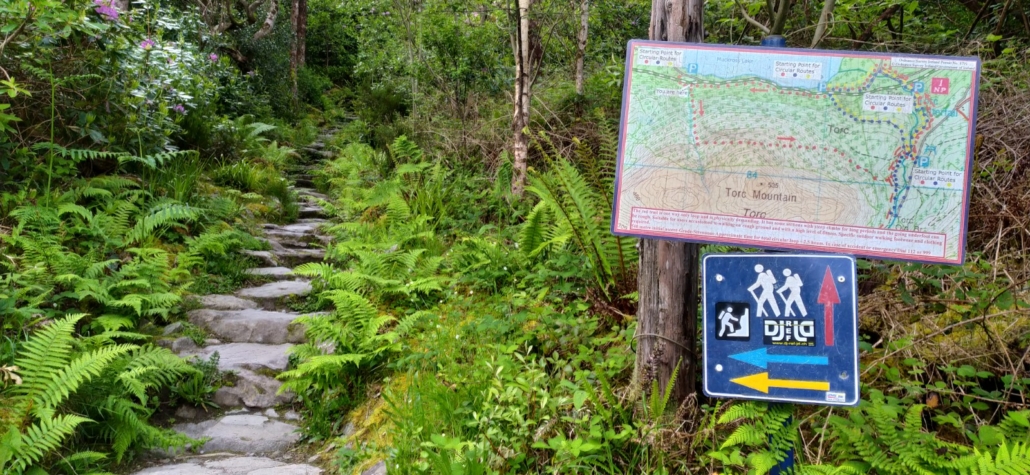 hiking routes in Killarney National Park