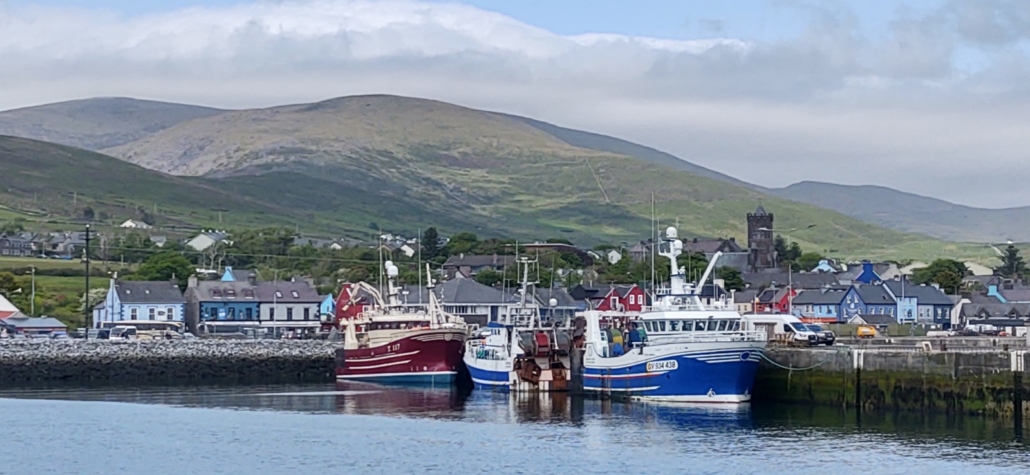 Fishing fleet in Dingle Town harbour