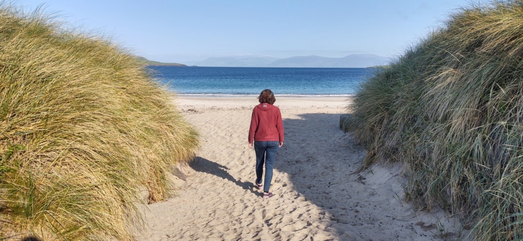 Beach access through the dunes on Vantry Bay, Ireland