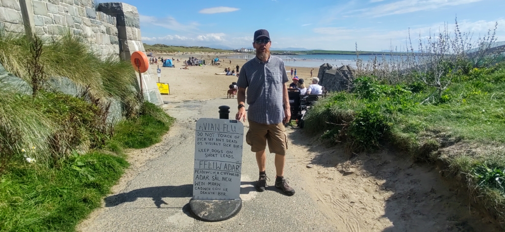 Avian flu sign at the entrance to a beach on Anglesey