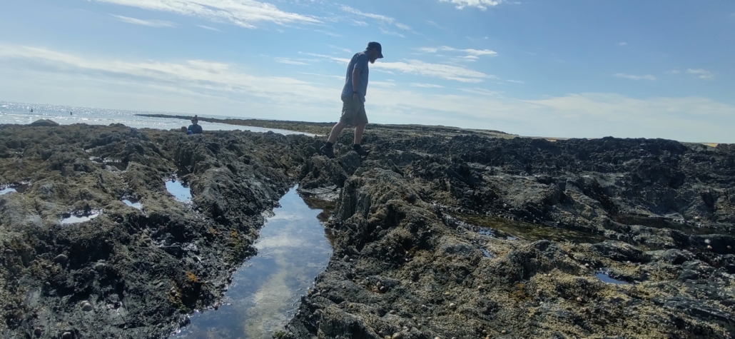 Some good rock-pooling to be done on Anglesey!