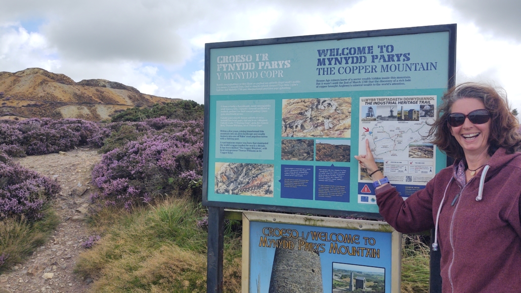 Infromation board at Copper Mountain, Mynydd Parys, Anglesey