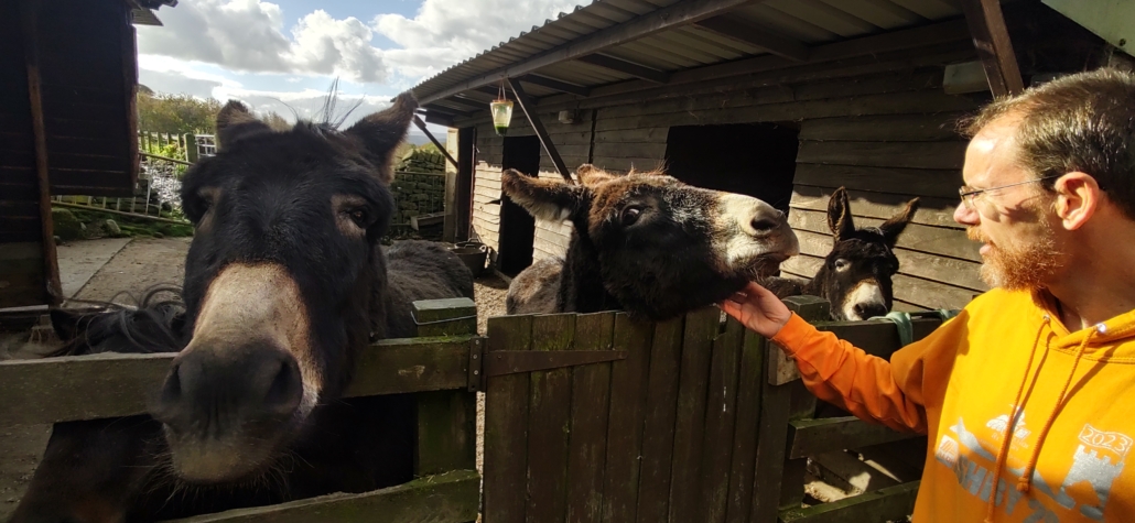 Jay petting donkeys