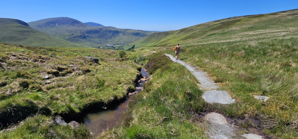 Jay walking along path by a burn / stream