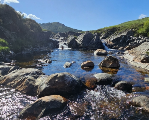 Jay having a dip in the burn