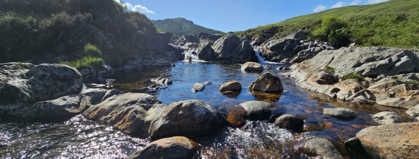 Jay having a dip in the burn