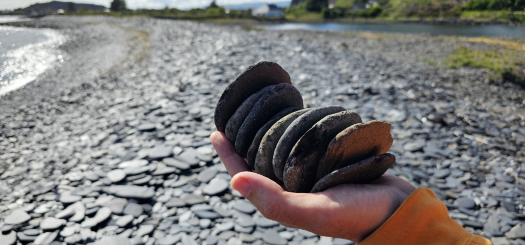 No shortage of skimmera around here