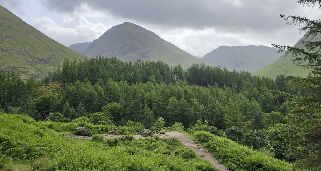 The location of Hagrid's Hut in 2025, all returned to nature other than a path carved by devotees