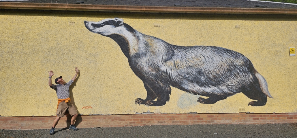 A massive mural of a badger