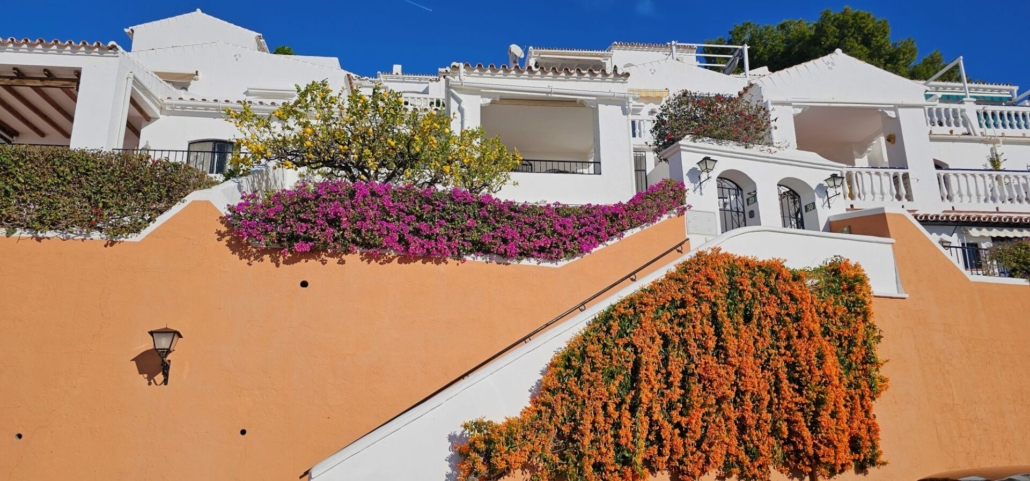 Brightly coloured flowers on a wall