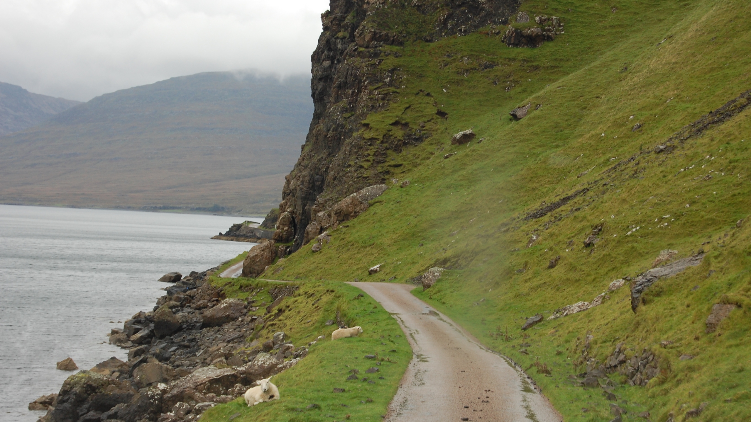 Single track road on the Isle of Mull in Scotland