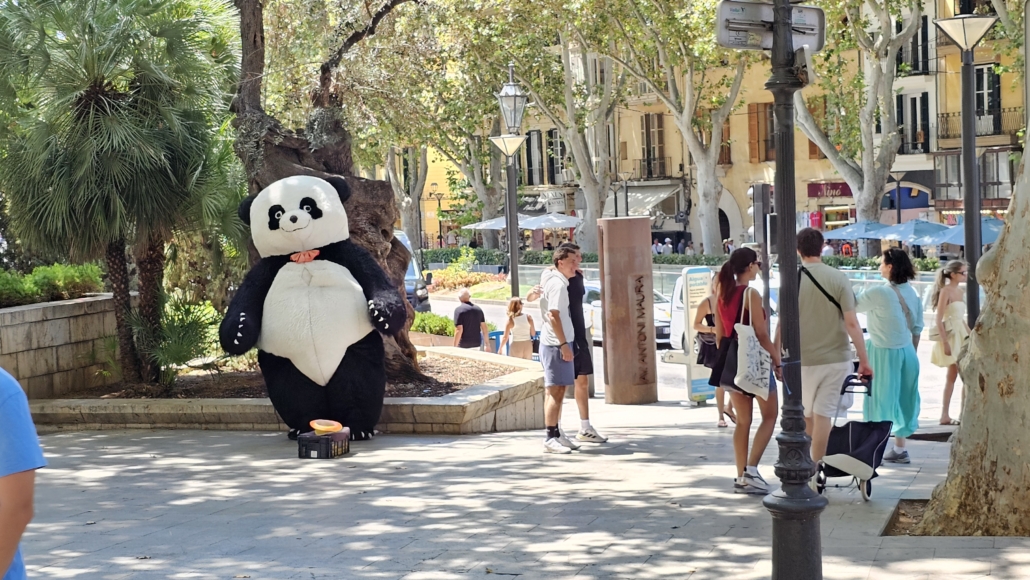 Person in street in big furry panda suit